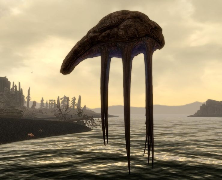 Datei:SR Netchbulle.jpg