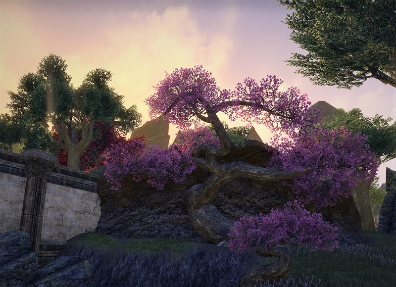 Datei:ESO Auridon - Blätterdach.jpg