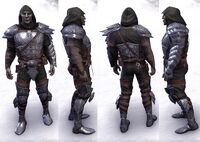 ESO Elfische Heldenrüstung-m.jpg