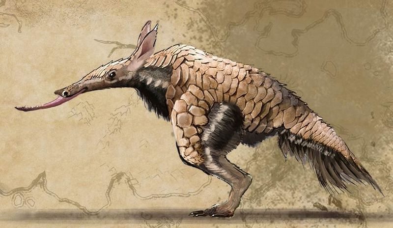 Datei:ESO Konzept Vvardvark.jpg