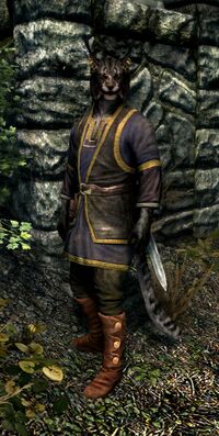 SR Khajiit.jpg