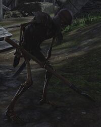 ESO Brüchiger Krieger.jpg