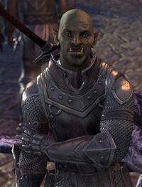 ESO Feldwebel Olfin.jpg