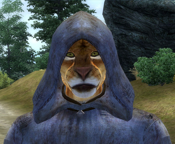 Datei:Maiq der Luegner Obl.jpg