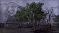 ESO Sathram-Plantage - Apfelbäume.jpg