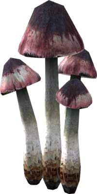 SR Blutende Krone.png