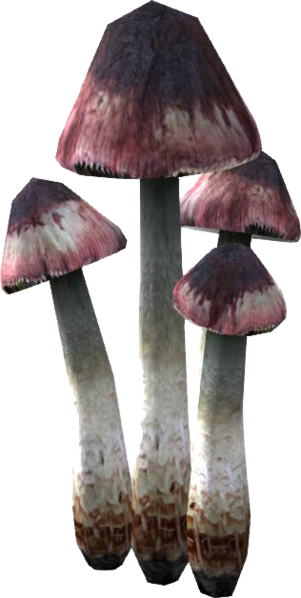 Datei:SR Blutende Krone.png