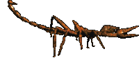 Daggerfall - Skorpion.gif