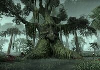 ESO Farnblatt - Baum.jpg