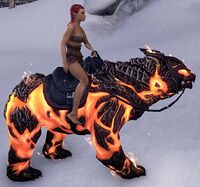 ESO Glutflammenbär Ausdauer.jpg