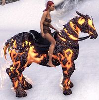 ESO Glutflammenpferd Tempo.jpg