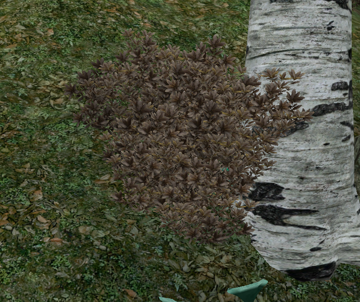 Datei:OBL AzaleeBraun.png