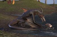 ESO Klippenschreiter.jpg