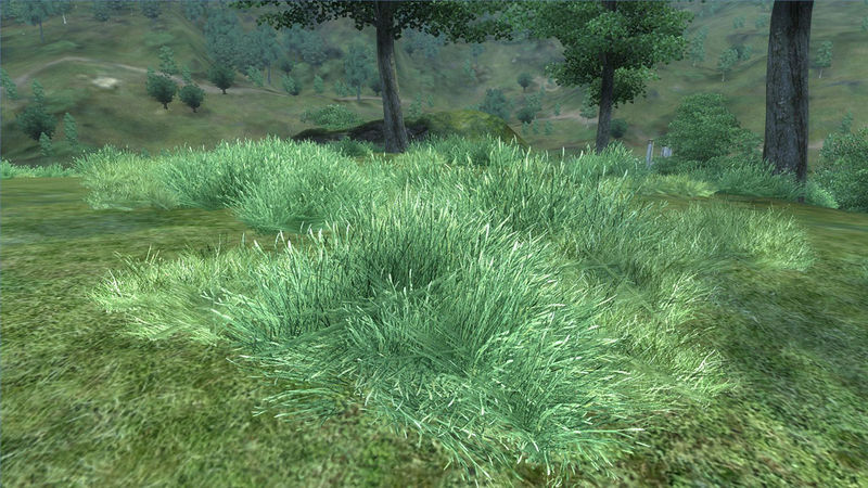 Datei:Gras grün Cyrodiil.jpg