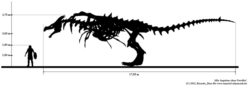 Datei:Drachenskelett - Größenvergleich.png