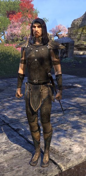 Datei:ESO Schleiererbe-Soldat.jpg