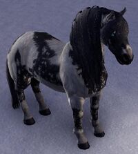 ESO Schattengeistpony.jpg