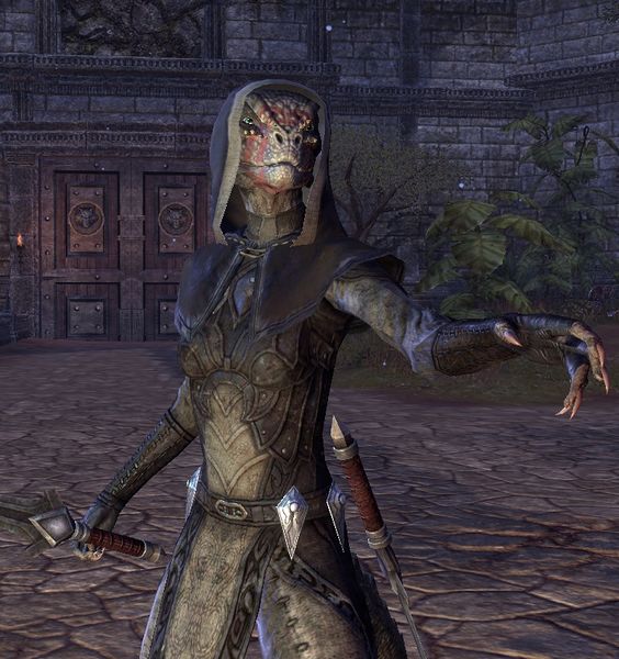 Datei:ESO Erschlägt-keine-Drachen.jpg