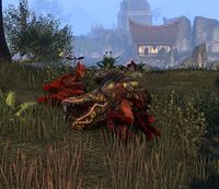 ESO Harpyien fressen Alit.jpg