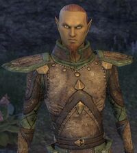 ESO Mathiisen-Wache Mann.jpg