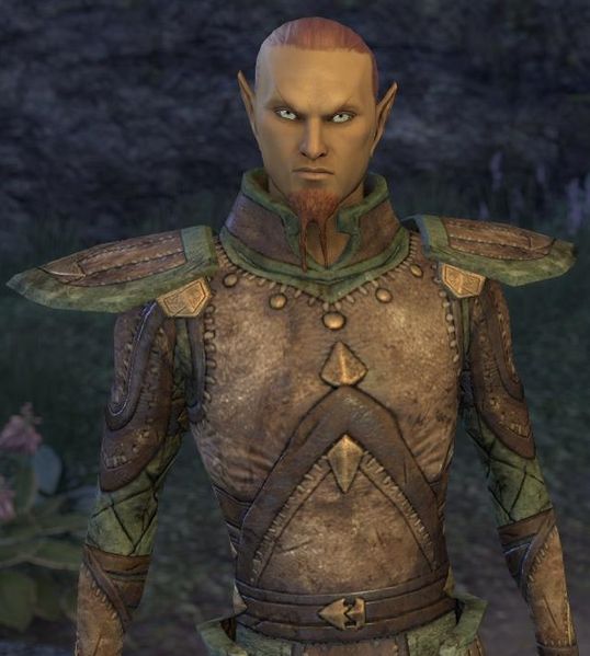 Datei:ESO Mathiisen-Wache Mann.jpg