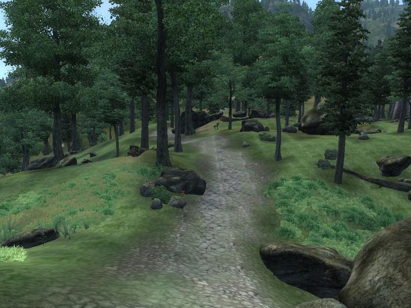 Datei:Schwarze Straße - Richtung Hammerfell.jpg