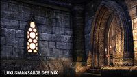 ESO Luxusmansarde des Nix.jpg