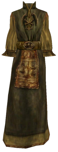 Datei:Gewöhnliches Gewand14.png