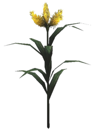 Nirthfliegen-Blume Pflanze.png