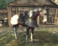 Stahlrüstung für Pferde