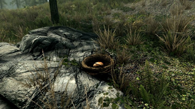 Datei:SR Drosselnest.jpg