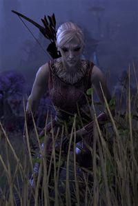 ESO Feldsii Maren.jpg