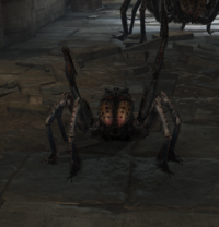 BL Höhlenspinne.png