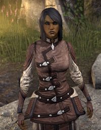 ESO Aldarchin Colaste.jpg