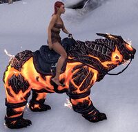 ESO Glutflammenbär Tempo.jpg