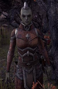 ESO Riinsi Dreloth.jpg