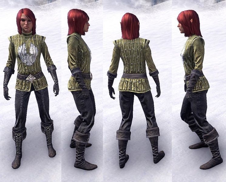 Datei:ESO Allianzreiter Dominion-w.jpg