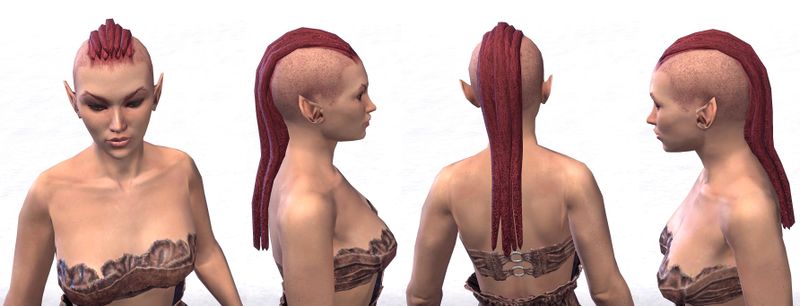 Datei:ESO Lange verzierte Rastazöpfe - Frau.jpg