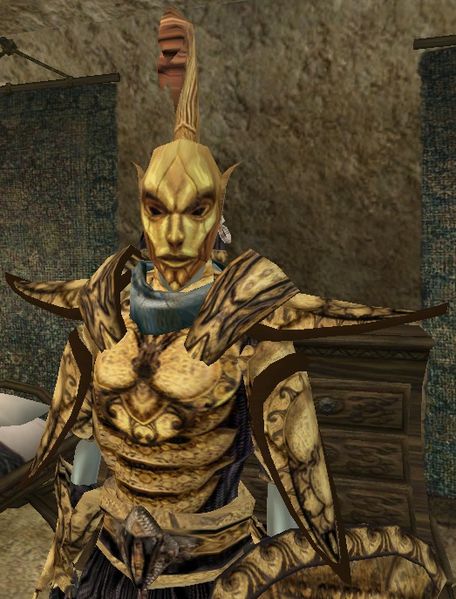 Datei:MW Nedeni Tenim.jpg