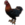 ESO Icon pet 216 coloredchicken.png