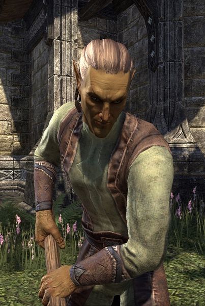 Datei:ESO Ainaame.jpg