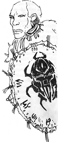 KRK-Hammerfell-Skarabaeusritter aus Totambu.png