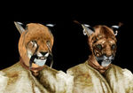 Morrowind:Khajiit