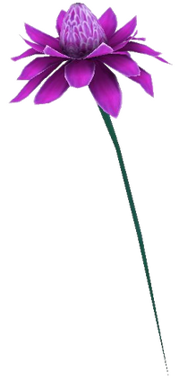 Mana-Blüte lila.png