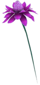 Mana-Blüte lila.png