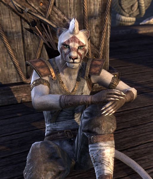 Datei:ESO Zeriba.jpg