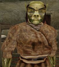 MW Bashag gro-Snagdu.jpg