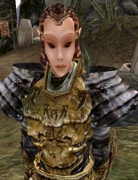 MW Estinan ohne Helm.jpg