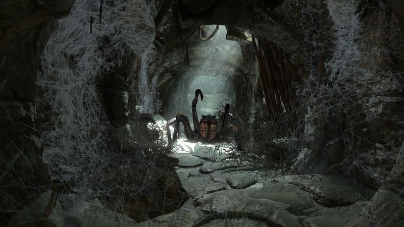 Datei:SR Himmelswachtpass Spinne.jpg