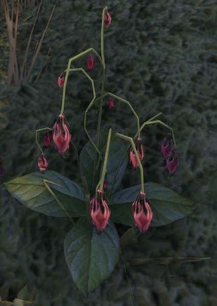 Datei:ESO Akelei.jpg